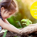 10 acciones imprescindibles para cuidar el medio ambiente en tu jardín