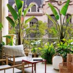 10 ideas creativas para decorar jardines pequeños con plantas: ¡transforma tu espacio exterior en un oasis verde!