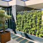 Árbol en Fachada: La Elegancia del Jardín Arquitectónico