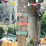 Arreglos con barras y ramas para el jardín: ideas creativas para embellecer tu espacio verde