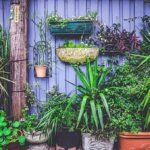 Arreglos de jardines con macetas grandes: consejos y opciones para embellecer tu espacio verde