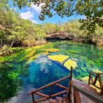 Cenote Jardín del Edén Tulum: Un paraíso natural en tu propio jardín