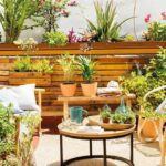 Combinación de Flores para Jardín: Consejos y Ejemplos para Embellecer tu Espacio Exterior