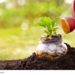 Como Ahorrar Agua en el Jardín