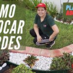 Cómo arreglar mi jardín con un estacionamiento al lado: Guía paso a paso