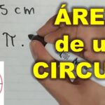 Cómo calcular el área de un jardín: Guía paso a paso para sacar medidas correctamente