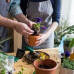 Cómo elegir el mejor catálogo de productos de jardinería para tu hogar
