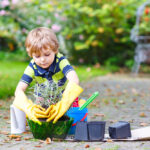 Cómo hacer un jardín para niños: ideas y consejos divertidos para su propio espacio verde