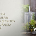 ¿Cómo se dice jardín en Argentina? Todo lo que necesitas saber sobre el vocabulario de la jardinería en el país