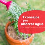 Consejos para el ahorro de agua en jardines: cómo cuidar tus plantas y ahorrar recursos hídricos