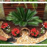 Consejos para el arreglo de jardín con palmeras: ¡Transforma tu espacio exterior en un oasis tropical!