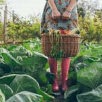 ¿Cuando visitas un jardín, qué flores deberías elegir? Guía para seleccionar las mejores opciones