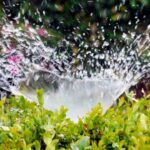 ¿Cuánta agua se gasta en regar el jardín? Descubre cómo optimizar su uso