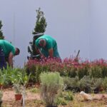 ¿Cuánto cuesta el metro cuadrado de jardín? Descubre los precios y consejos clave