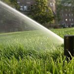 ¿Cuánto cuesta un sistema de riego automático para jardín? Descubre precios y opciones