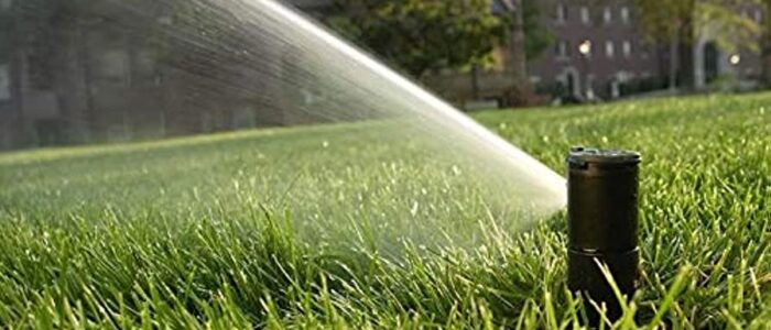 ¿Cuánto cuesta un sistema de riego automático para jardín? Descubre