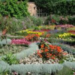 Curso de Diseño de Jardines Gratis: Aprende a crear tu propio oasis verde sin gastar un centavo