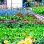 Cursos y Talleres en el Jardín Botánico: Aprende a Cultivar y Embellecer tu Espacio Verde
