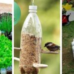 Decoración de jardín con botellas: ideas creativas y sostenibles para embellecer tu espacio exterior