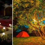 Decorar árboles de jardín con luces: ideas creativas para iluminar tu espacio exterior