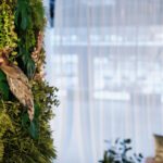 Descubre cómo atraer abejas al jardín y disfruta de una flora exuberante