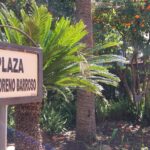 Descubre cómo llegar al Jardín Botánico: Guía completa y consejos prácticos