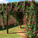 Descubre cómo utilizar arcos de material en jardines para crear espacios encantadores