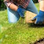Descubre cuál es el mejor pasto para tu jardín y consigue un césped envidiable
