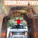 Descubre cuántos kilómetros recorrerás al explorar el Jardín Botánico por fuera