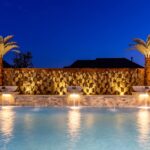 Descubre el costo de palmas para jardín: precios y opciones para embellecer tu espacio verde