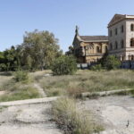 Descubre la fascinante historia del Jardín Botánico y la Cátedra: ¿Cuándo se fundó?
