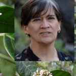Descubre la riqueza de las plantas del Jardín Etnobotánico de Oaxaca: Una guía completa