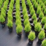 Descubre la tela perfecta para crear jardines verticales: ¿Cómo se llama?