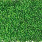 Descubre los diferentes tipos de bardas para jardín y elige la ideal para tu espacio verde