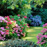 Descubre los diferentes tipos de matas de jardín y cómo cuidarlas