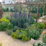Descubre los increíbles beneficios de un jardín botánico para tu bienestar y el medio ambiente
