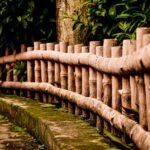 Descubre los mejores tipos de bambú para embellecer tu jardín
