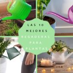 Descubre los nombres de las regaderas de jardín y cómo elegir la adecuada para ti