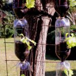 Descubre los secretos de un creador de jardines verticales: consejos, ideas y técnicas