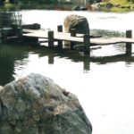 Descubre qué es el yatsu bashi en el jardín japonés: un elemento esencial para la armonía y belleza natural