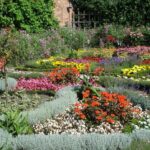 Descubre qué es un jardín comercial y cómo crear el tuyo propio