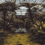 Descubre qué es un jardín etnobotánico y cómo crear el tuyo propio