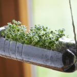 Diseño de jardines con botellas plásticas: Ideas creativas para transformar tu espacio verde