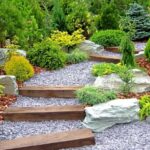 Diseño de jardines con cactáceas: ideas y consejos para crear un oasis de plantas resistentes