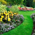 Diseño de jardines con rosas: consejos y tendencias para crear espacios florales espectaculares