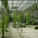 Diseño de laberintos en jardines: Tips y consejos para crear un oasis de diversión y belleza