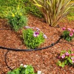 Diseño de riego por goteo para tu jardín: consejos y técnicas