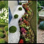 Diseños de jardines con suculentas: ideas creativas para embellecer tu espacio verde