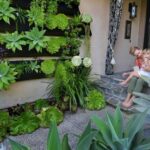 Diseños de plantas para jardín: ideas y consejos para dar vida a tu espacio exterior