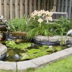 Estanques de peces para jardín: todo lo que necesitas saber para crear un oasis acuático en tu hogar